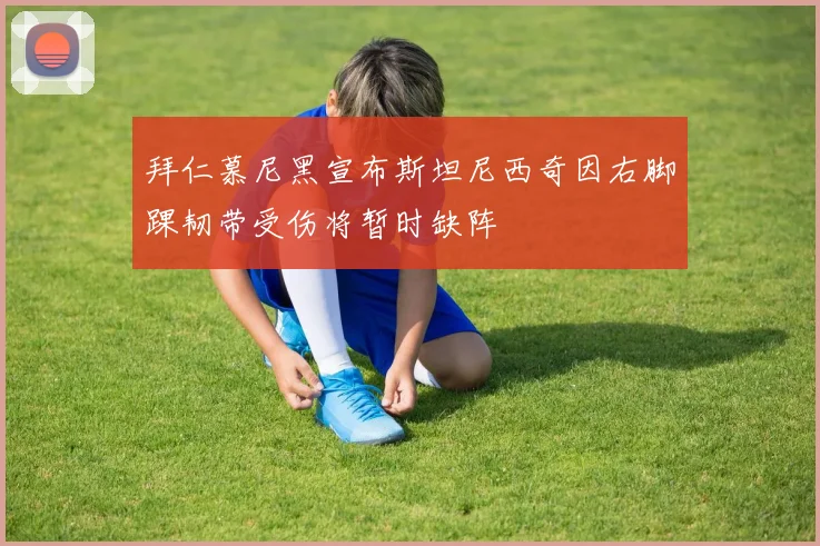 拜仁慕尼黑宣布斯坦尼西奇因右脚踝韧带受伤将暂时缺阵