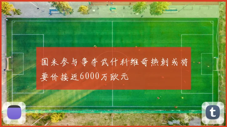 国米参与争夺武什科维奇热刺或将要价接近6000万欧元